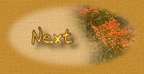 next